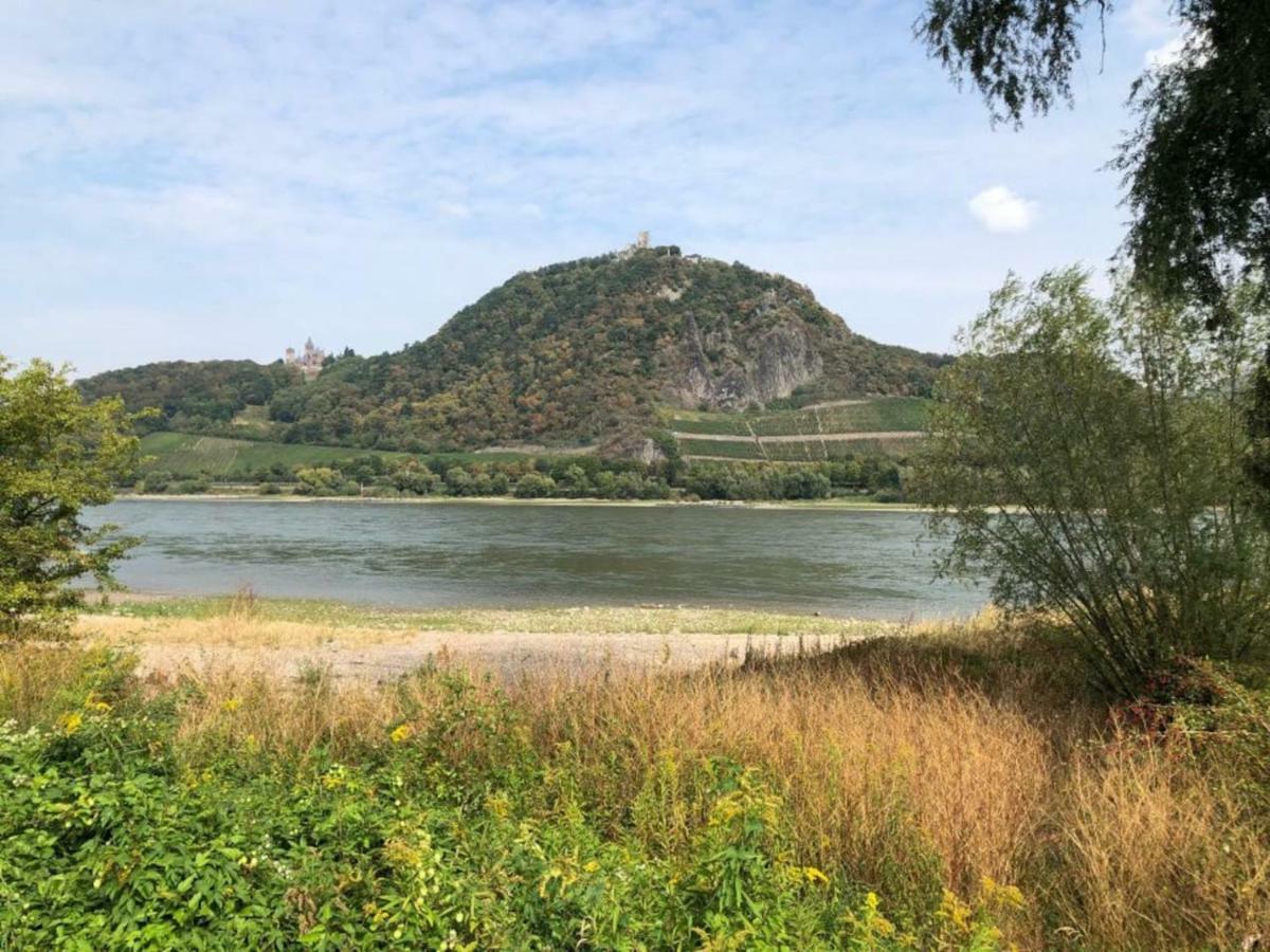הוילה Ferienhaus Rheinperle Mit Garten In Remagen Am Rhein - Naehe Bonn מראה חיצוני תמונה