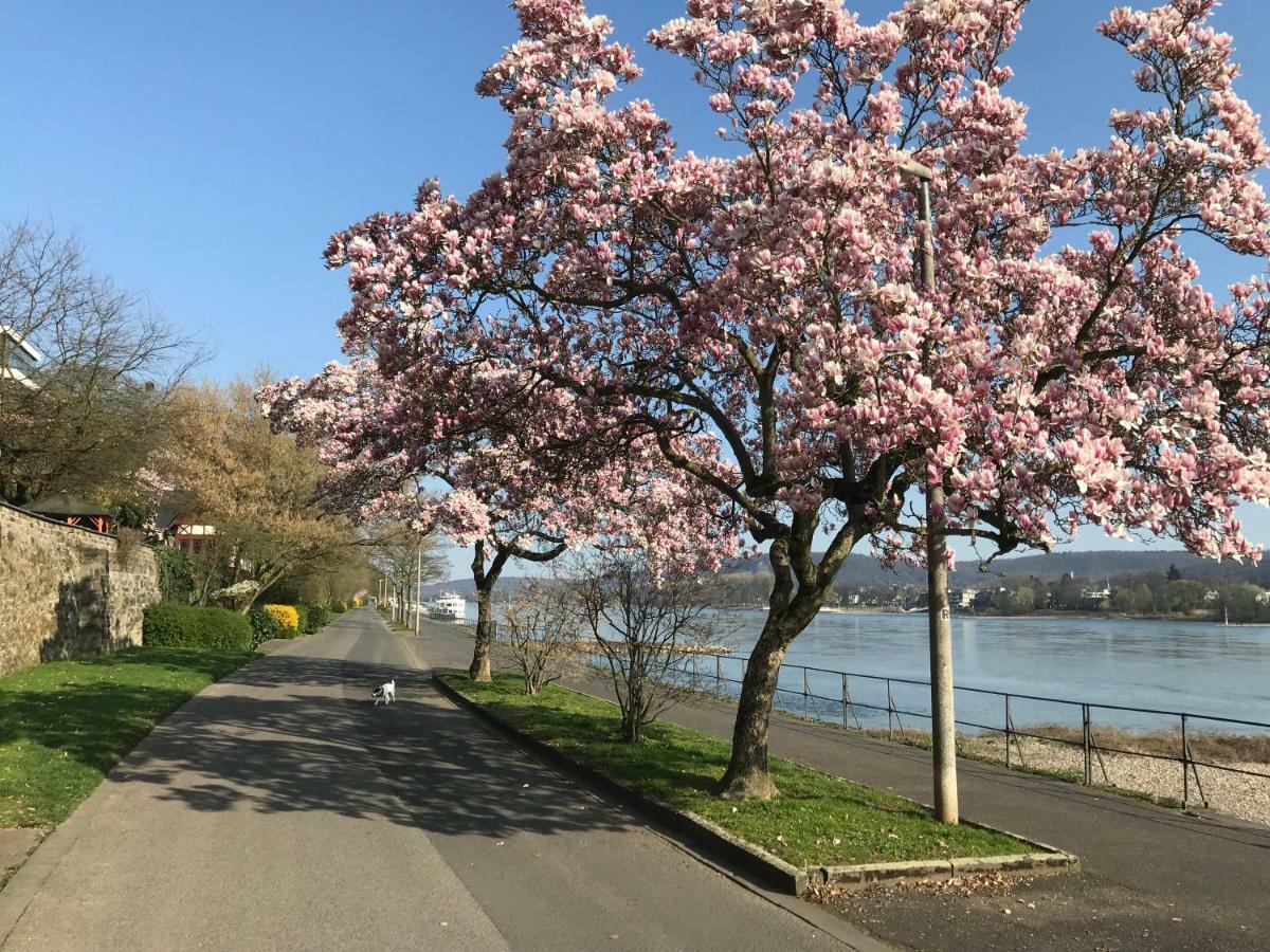 הוילה Ferienhaus Rheinperle Mit Garten In Remagen Am Rhein - Naehe Bonn מראה חיצוני תמונה